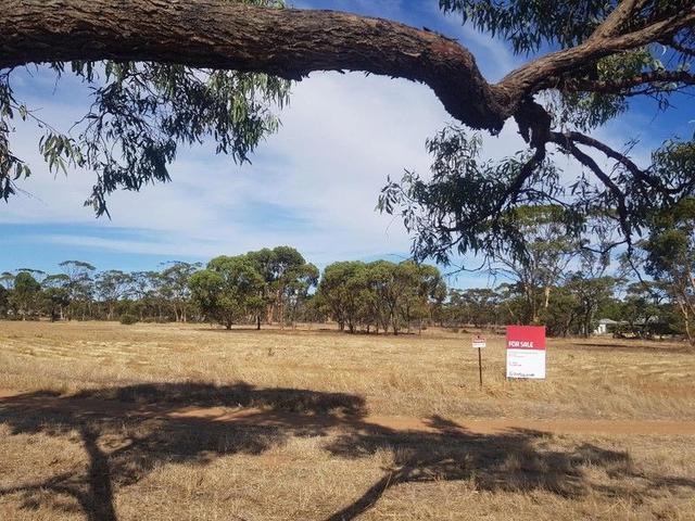 65 Drummond Street, WA 6510