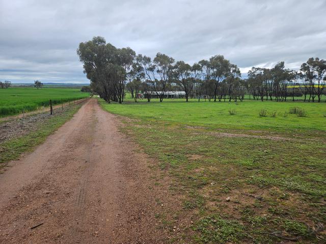 1511 Quellington Road, WA 6302