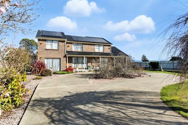 24 Percy Street, TAS 7291