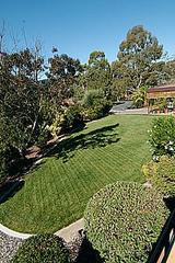 Front yard (2004-03-24)