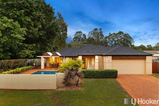 71 Pinelands Circuit, QLD 4165