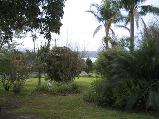 Garden (2006-10-24)