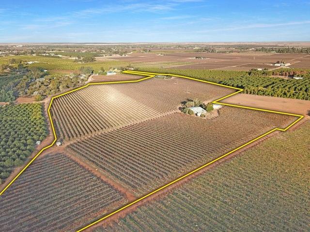 38 Dunstan Road, SA 5330