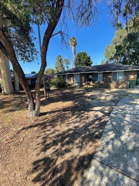1 Hillegine Court, WA 6110