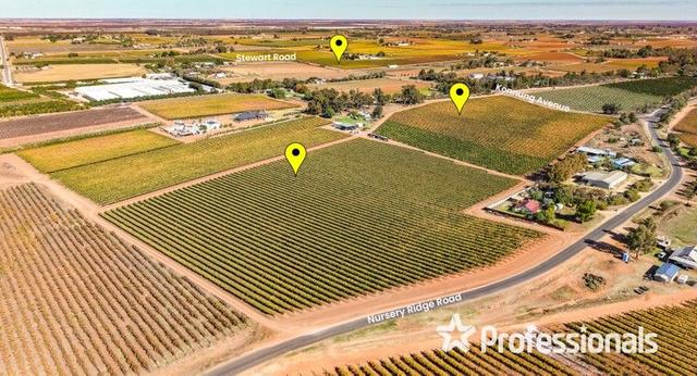 225 Stewart Road, VIC 3496