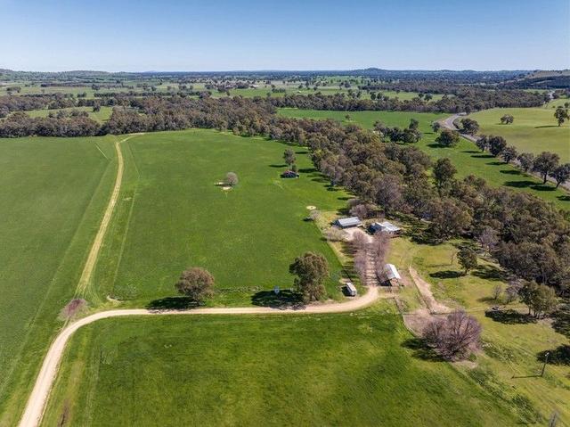 1171 Culcairn Holbrook Road, NSW 2644