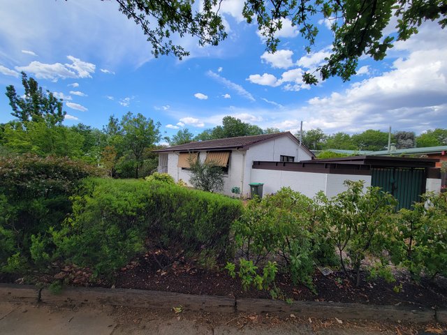 29 Antill Street, ACT 2602