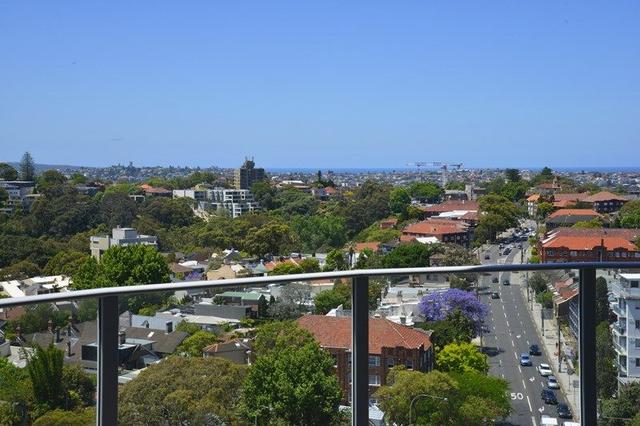 1302/253 Oxford Street, NSW 2022