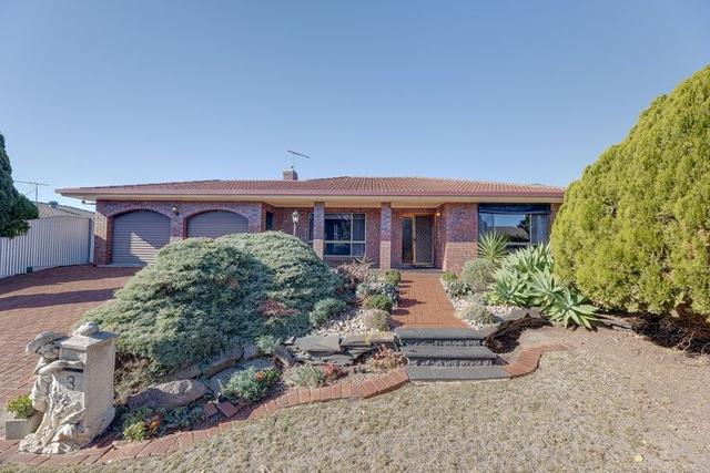 3 Darryl Avenue, SA 5076