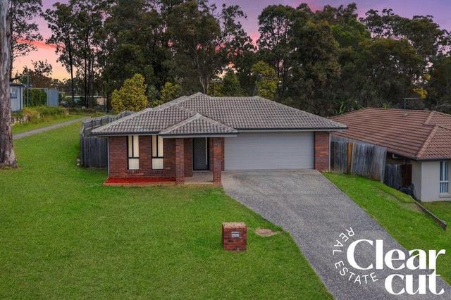 41 Whipbird Street, QLD 4300