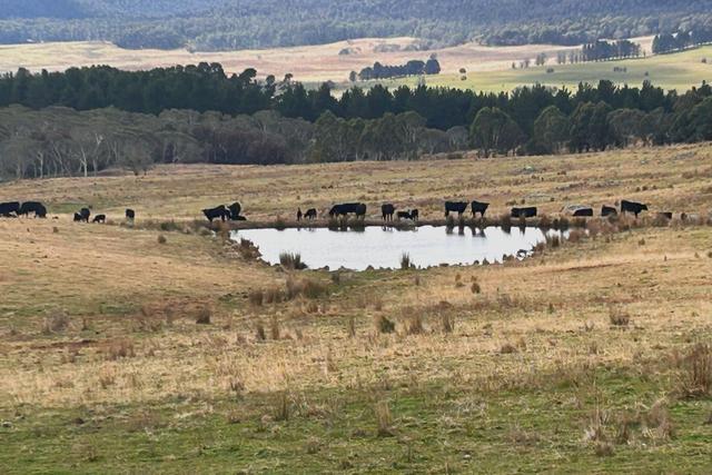 Stoney Ridge Road, NSW 2622