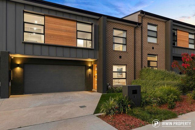 11 Yellowfin Street, ACT 2914