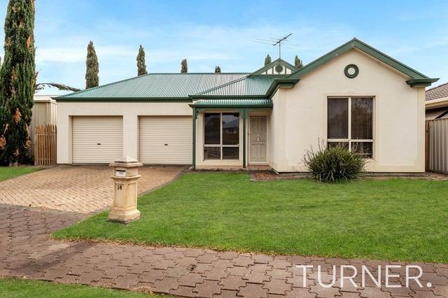 14 Cressy Avenue, SA 5087