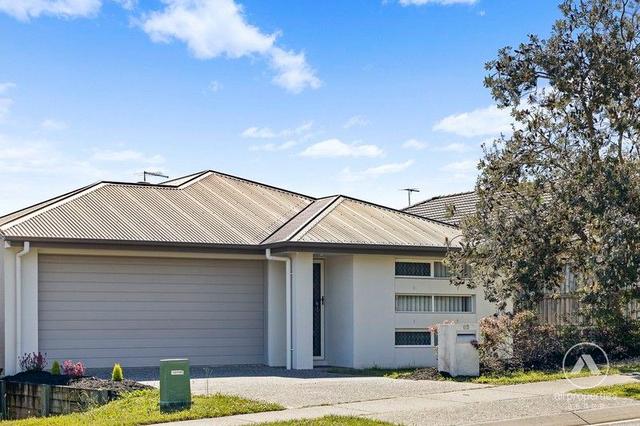 62 The Avenue, QLD 4110