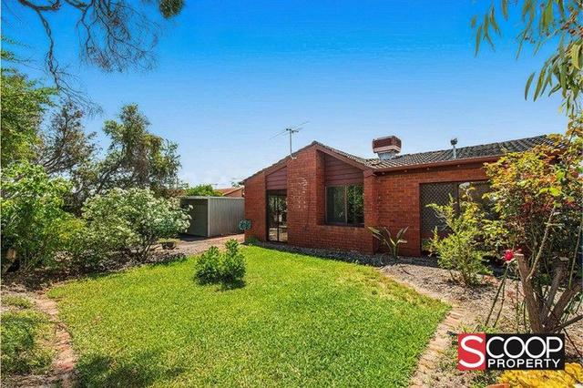 33 Tremandra Way, WA 6147