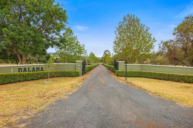 164 Upper Dartbrook Road, NSW 2337