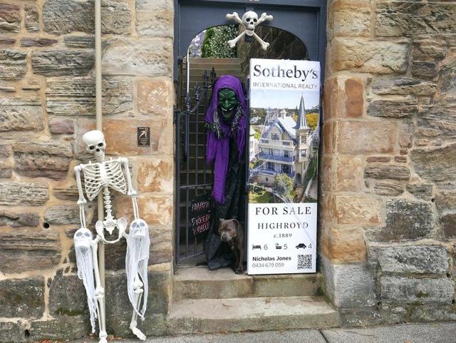 262 Johnston Street, NSW 2038