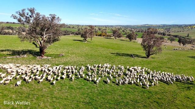 Woburn Road, NSW 2587