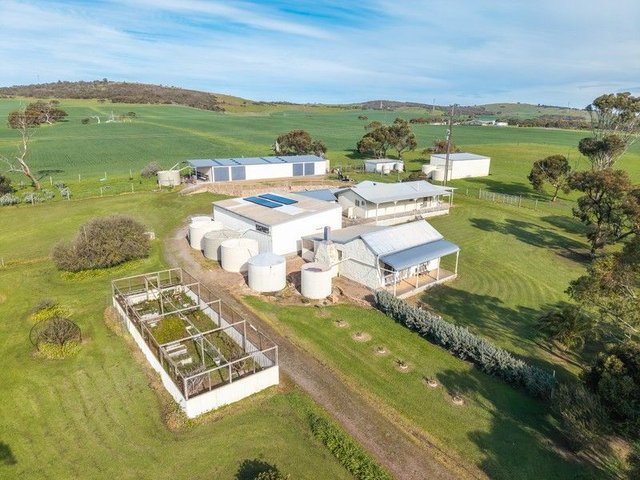 183 Tod River Road, SA 5607