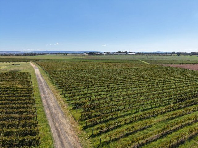 Lot 10 Chardonnay  Lane, NSW 2794