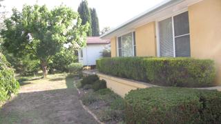 Frontyard (2015-01-09)