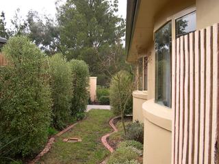 Side garden (2005-07-14)