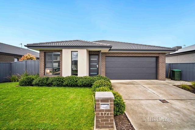 17 Leitrim Street, VIC 3350