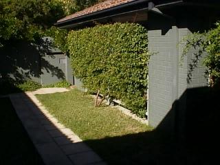 Main (2002-03-23)