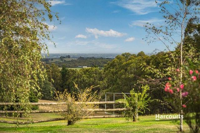 204 Harvie Road, VIC 3810