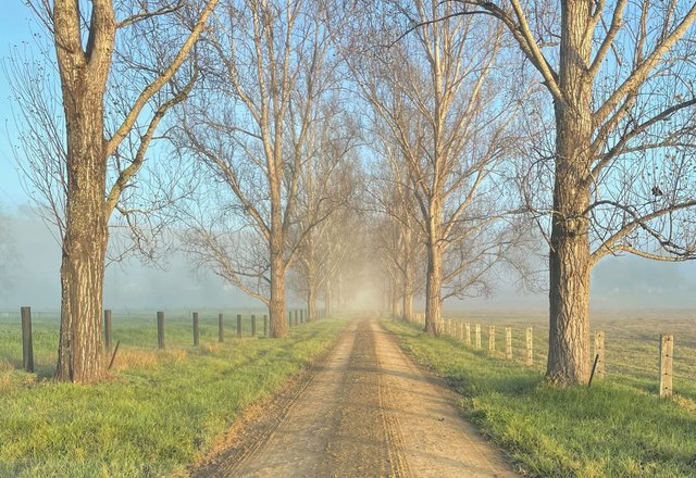 1301 Chichester Dam Road Bandon Grove Via, NSW 2420