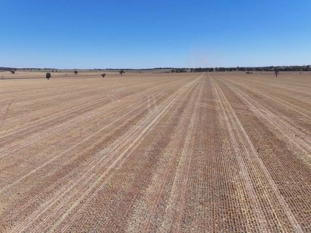 'Nolens'  5000 Barellan Road, NSW 2700