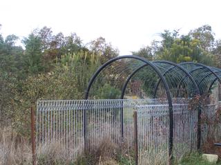 Garden Arch