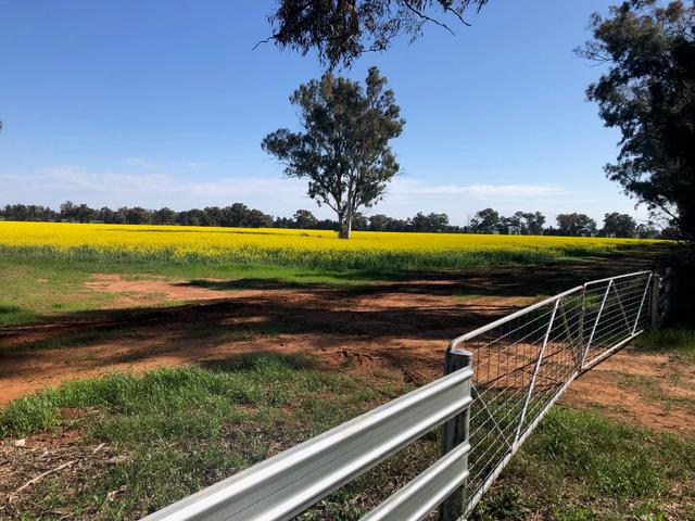 Lot 155 DP75082 Burley Griffin Way, NSW 2665