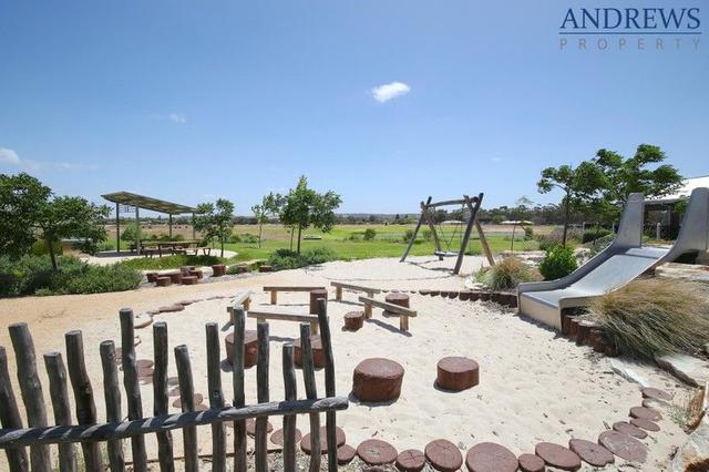 20 Grazier Street, SA 5253