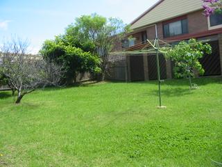 Garden (2010-10-19)
