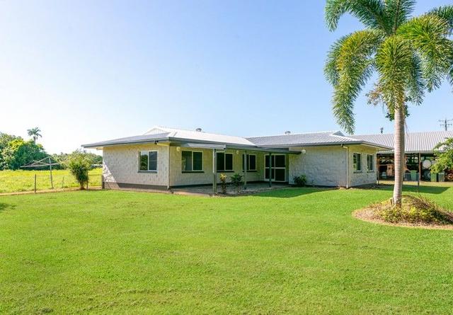 1746 Mossman Daintree Road, QLD 4873