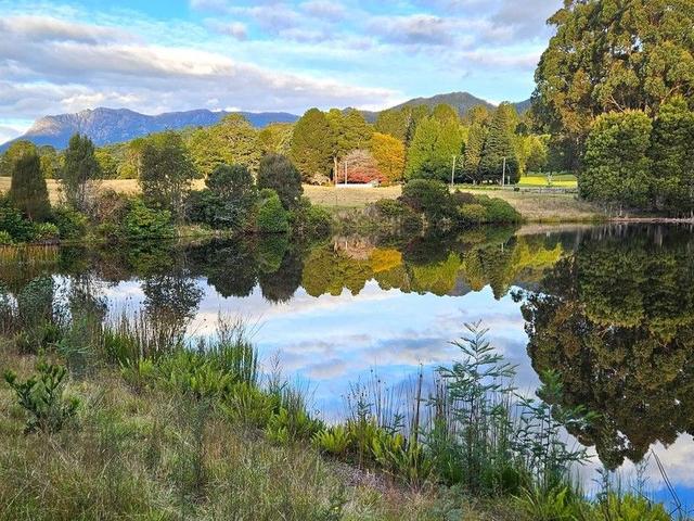 12384 Murchison Highway, TAS 7470