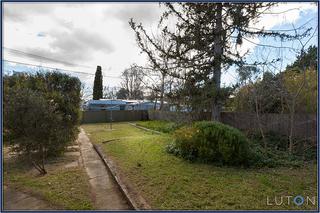 Rear Yard (2012-08-14)