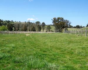 Paddock (2011-10-05)
