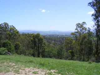 View (2010-02-26)