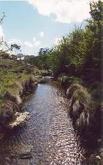 creek (2001-11-02)