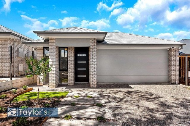 33 Clifton Street, SA 5084
