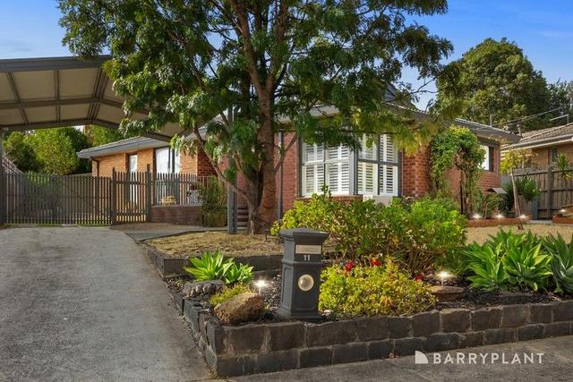 11 Shetland Drive, VIC 3152