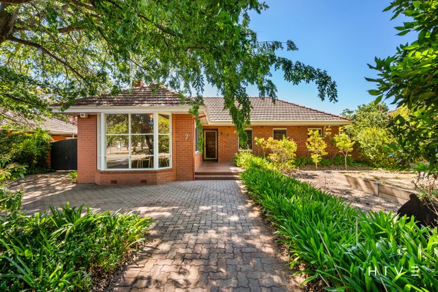 7 McCaughey Street, ACT 2612