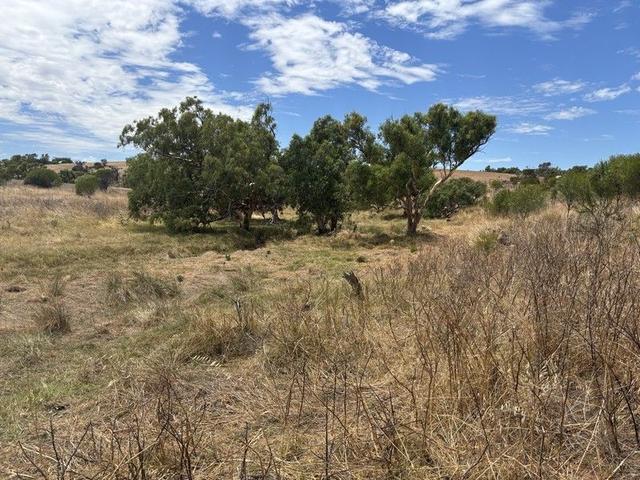 Lot 101 Drage Street, WA 6535