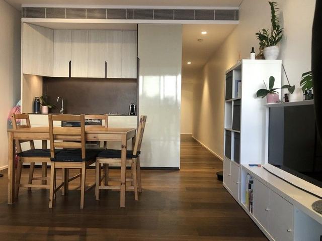 8 Central Park Ave, NSW 2008