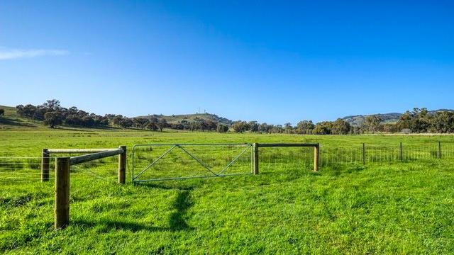 175 Balmattum Road, VIC 3669