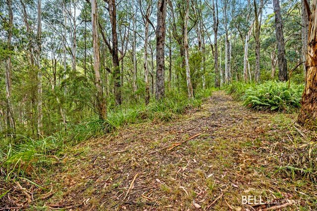 750 Don Road, VIC 3777