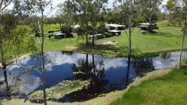 4280 Lowmead Road, QLD 4674