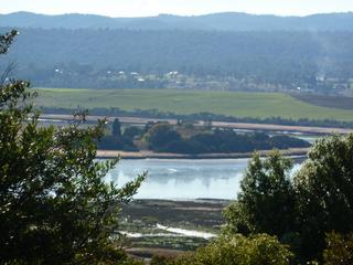 view from driveway